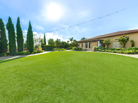 A sunny yard with a bright green lawn, tall trees on the left, string lights overhead, and a single-story house with bushes on the right.